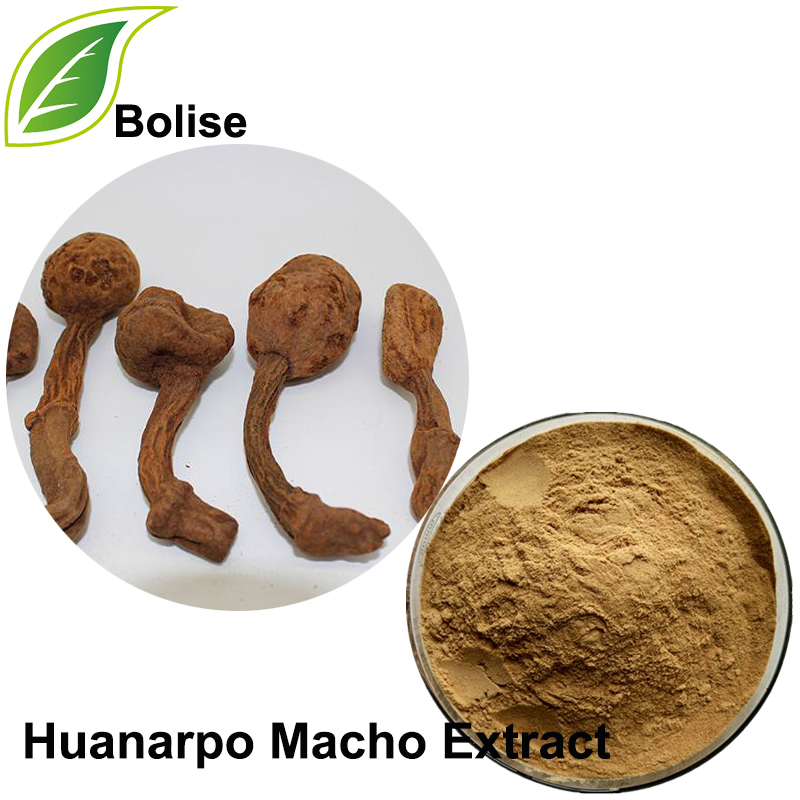 Huanarpo Macho-extrakt