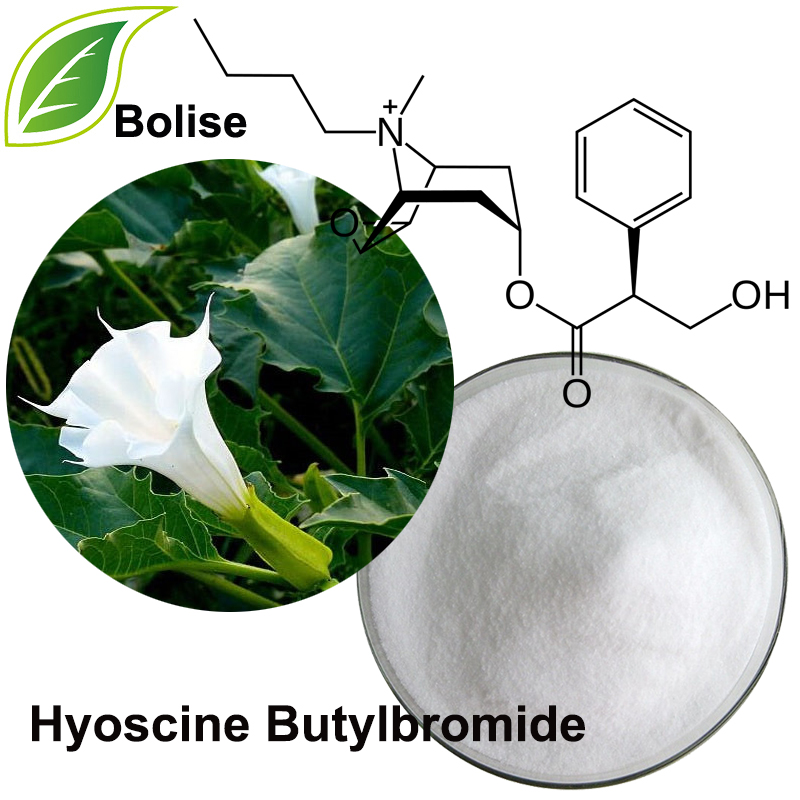Hyoscine butylbromid