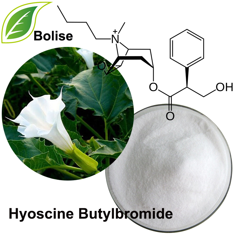 丁基溴東莨菪鹼