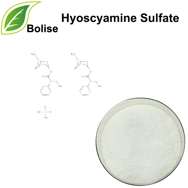 莨菪碱硫酸盐