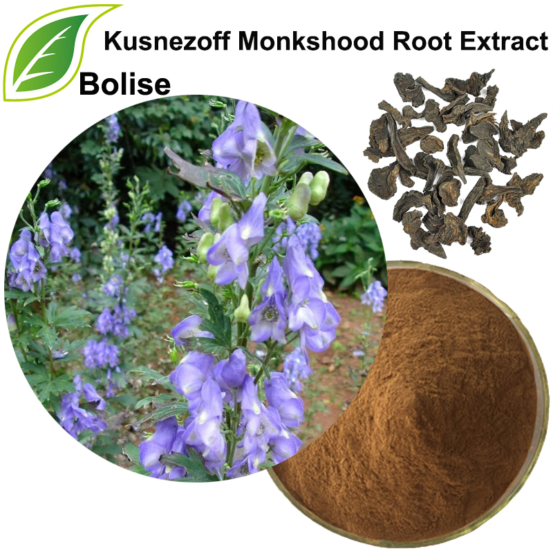 Kusnezoff Monkshood Root Extract
