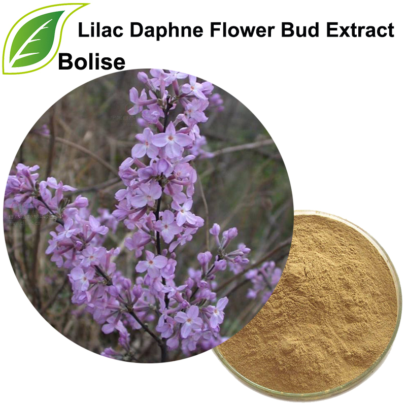 Lilac Daphne Ubaxa Bud Soosaarka (Flos Genkwa Extract)