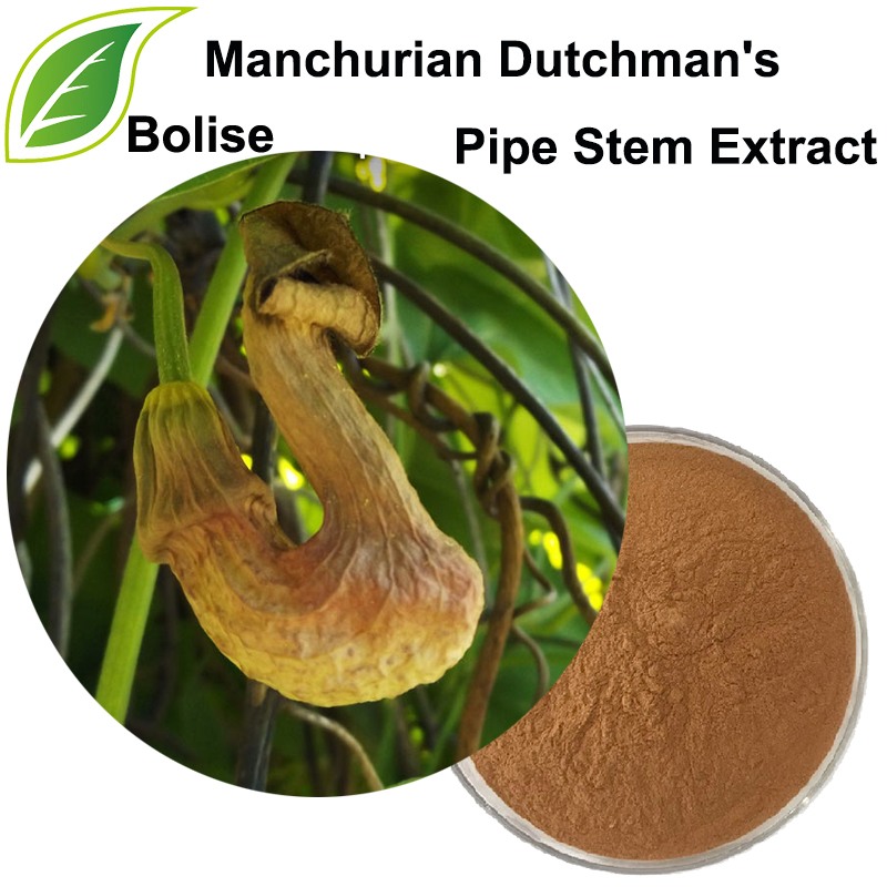 Manchurian Dutchman's Pipe Stem Extract