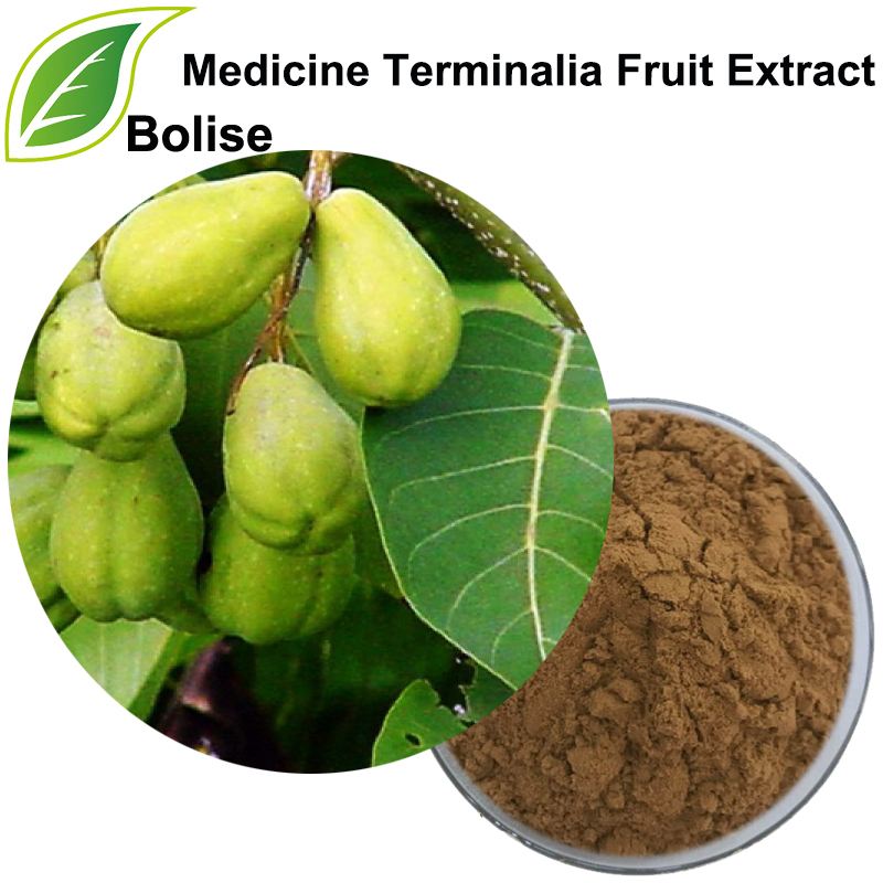 Extracte de fruita Terminalia de Medicina (Extracte de Fruchus Chebulae)