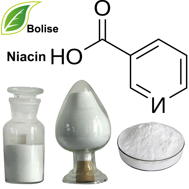 Niacin(vitamin pp) Niacin(vitamin pp)