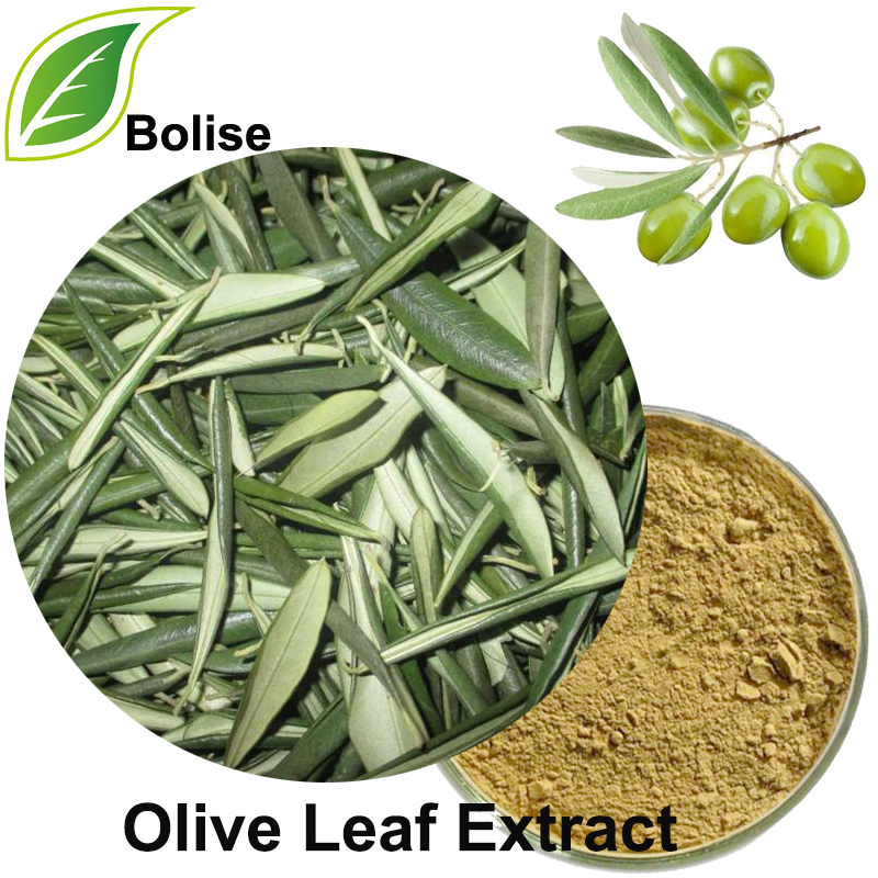 Olive Leaf Extract