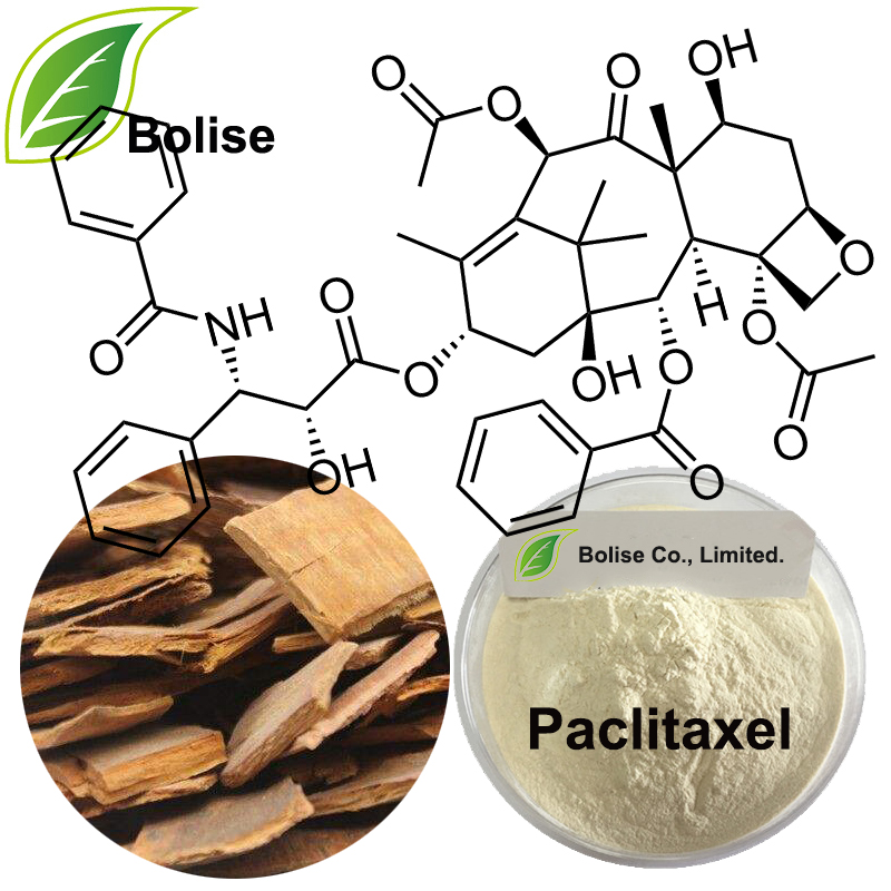 paclitaxel