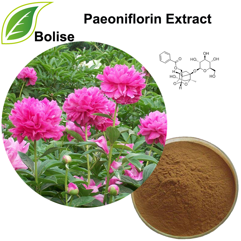 Paeoniflorin-Extrakt