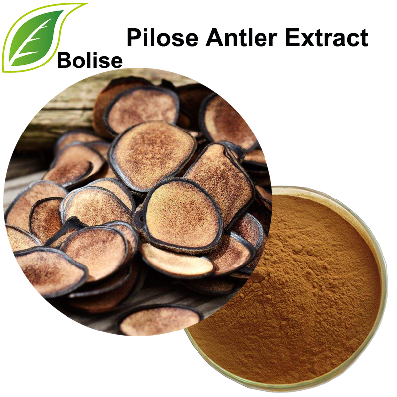 Pilose Antler extract (สารสกัดจาก Cornu Cervi pantotrichum)