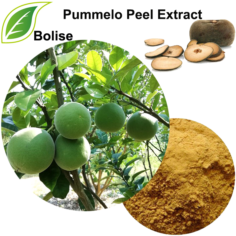 Pummelo Peel Extract (Exocarpium Citri Grandis Extract)