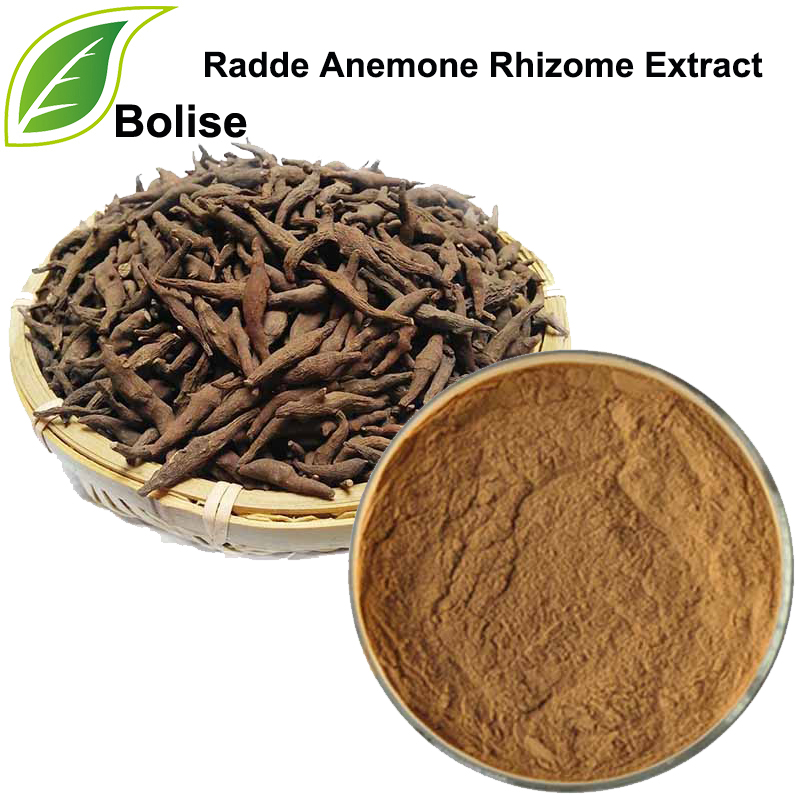 Chiết xuất thân rễ Radde Anemone