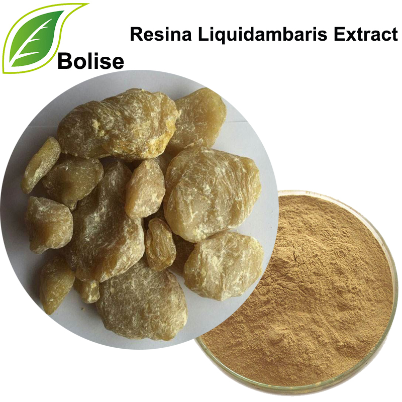 Preciós extracte de resina Sweetgum (extracte de Resina Liquidambaris)