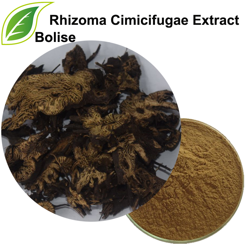 Dondoo ya Largetrifoliolious Bugbane Rhizome (Rhizoma Cimicifugae Extract)