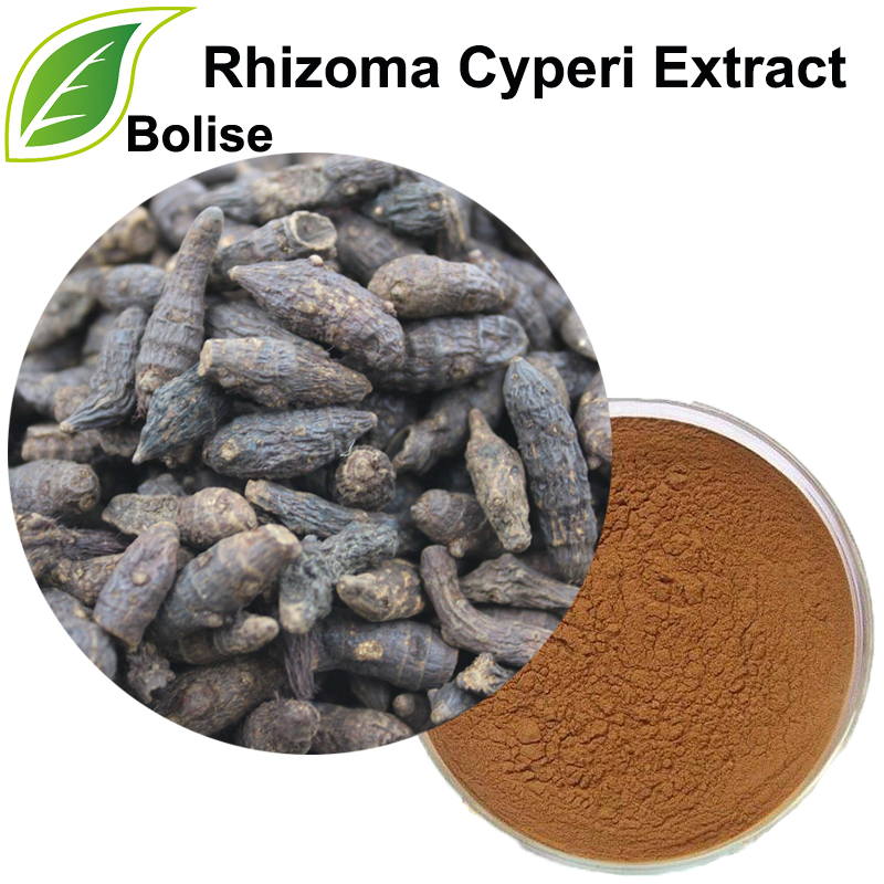 Dondoo ya Nutgrass Galingale Rhizome (Rhizoma Cyperi Extract)
