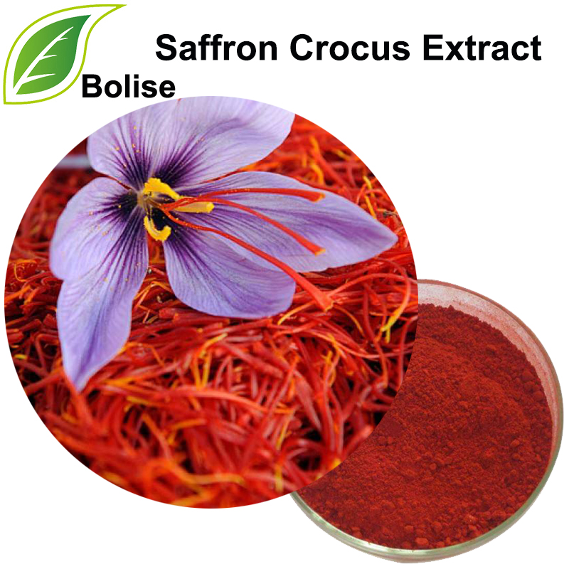 Ekstrak Saffron Crocus (Ekstrak Saffron)