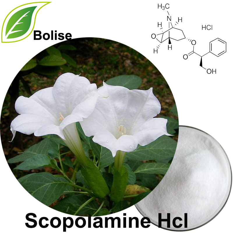 Escopolamina Hcl