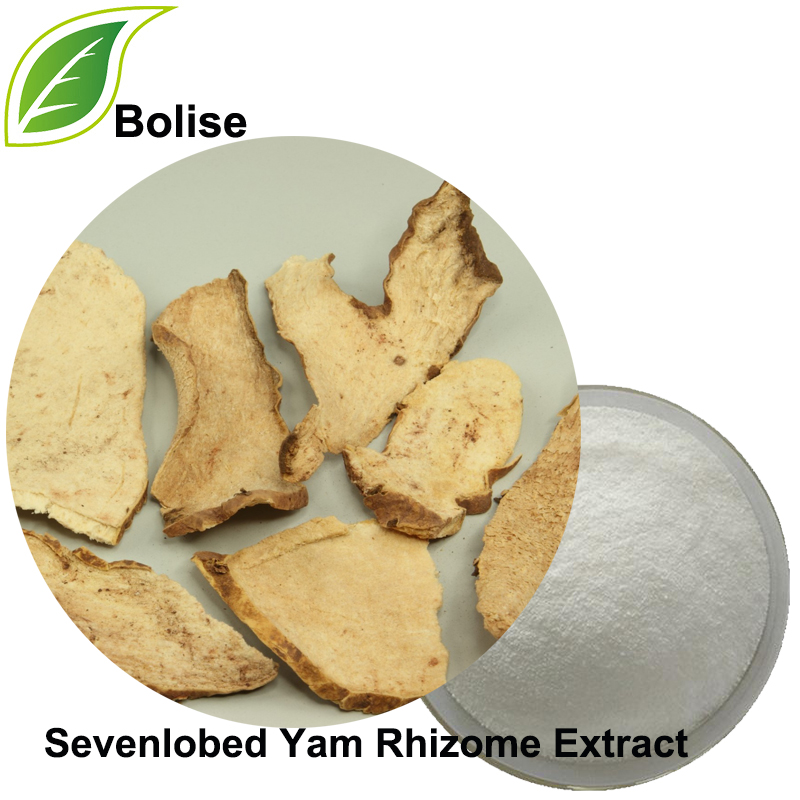 Sevenlobed Yam Rhizome Extract