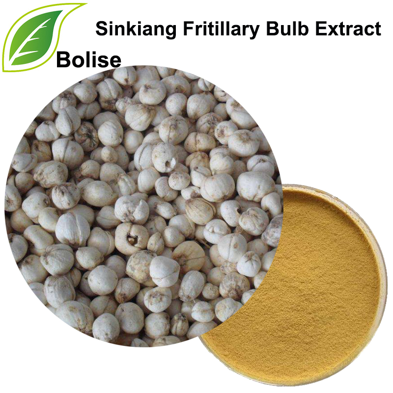 Extracte de bombeta fritil·lar Sinkiang (extracte de Bulbus Fritillariae Pallidiflorae)