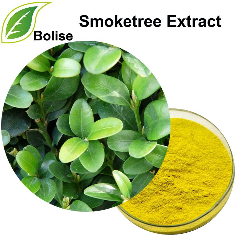 Smoketree Extract