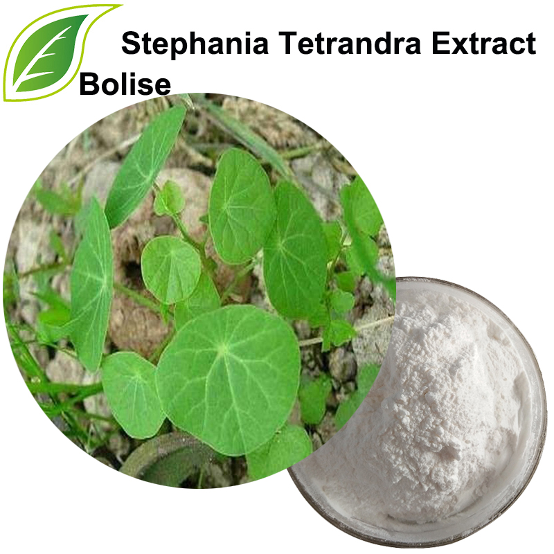 Tetrandrina (extracto de Stephania tetrandra)