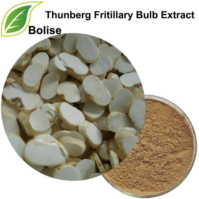 Thunberg Fritillary Bonbilla Extract (Bulbus Fritillariae Thunbergll Extract)