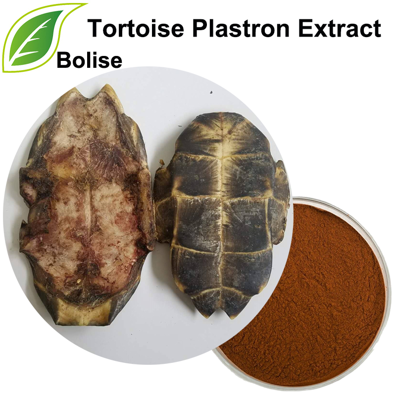 Bruņurupuča plastrona ekstrakts (bruņurupuča čaulas ekstrakts)