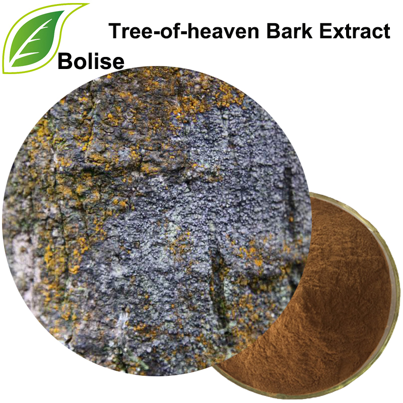 Tree-of-Heaven Bark Extract (Cortex Ailanthi Extract)