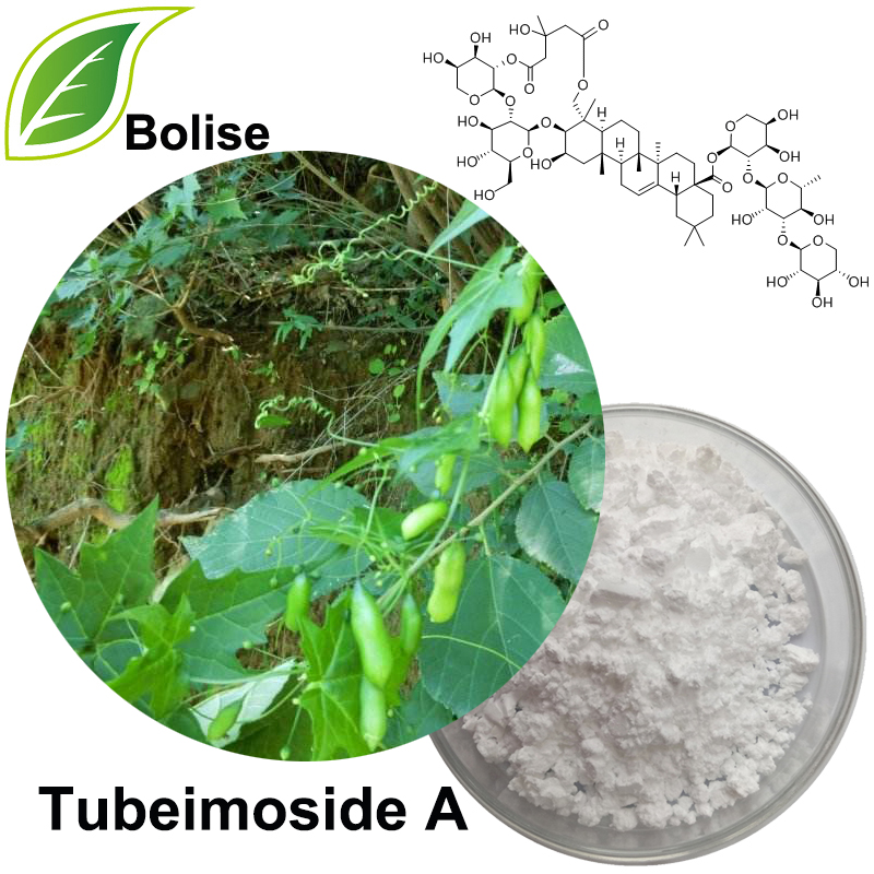 Tubeimoside A (สารสกัดจาก Rhizoma Bolbostemmae)