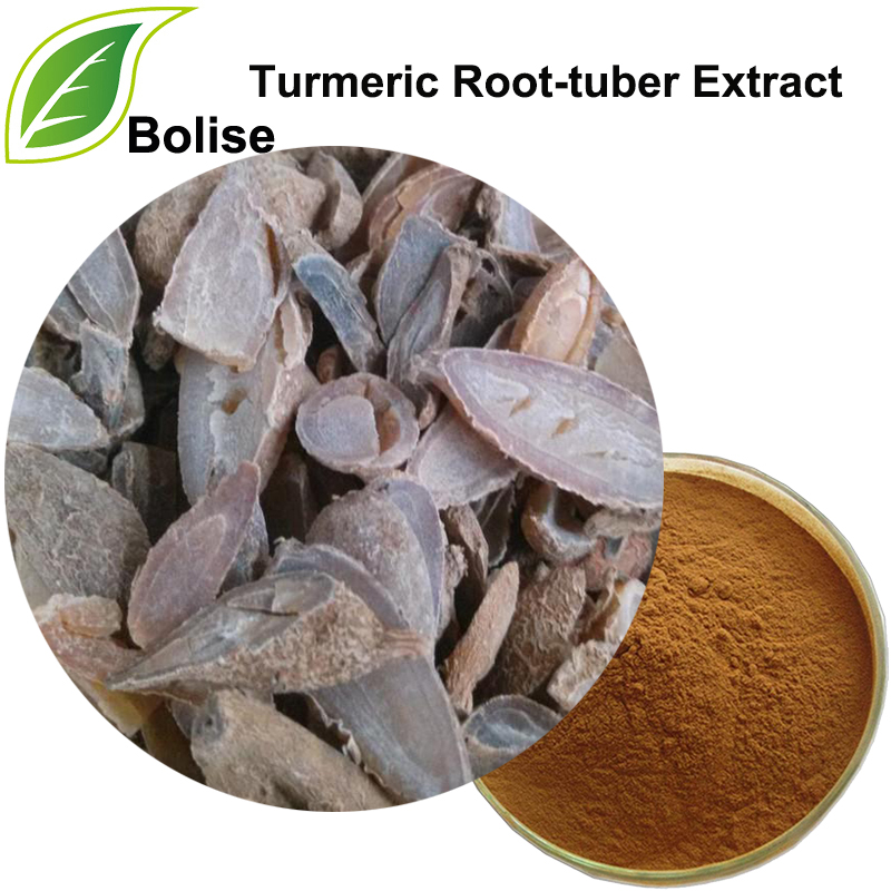 Ekstrakt korijena gomolja kurkume (ekstrakt Radix Curcumae)