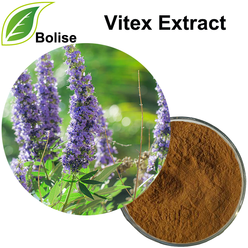 Vitex izvleček (Chasteberry Extract)