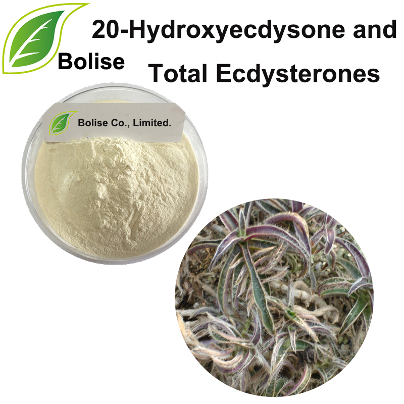 20-Hydroxyecdysone dhe Ecdysterones Total