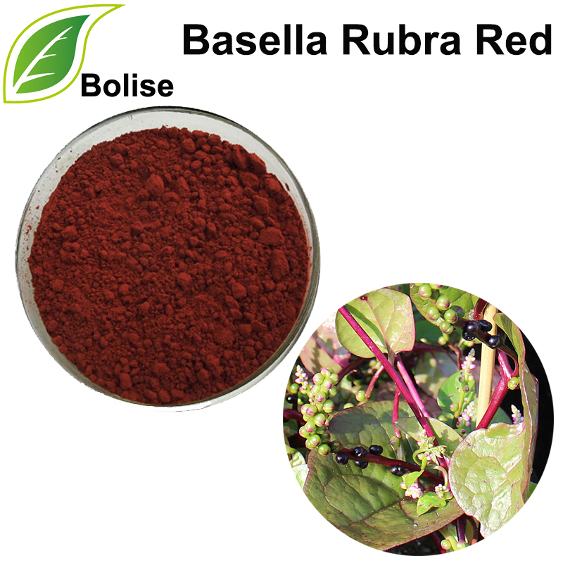 Basella Rubra สีแดง