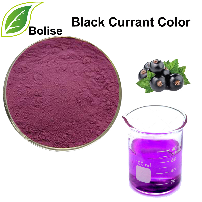 Black Currant Color