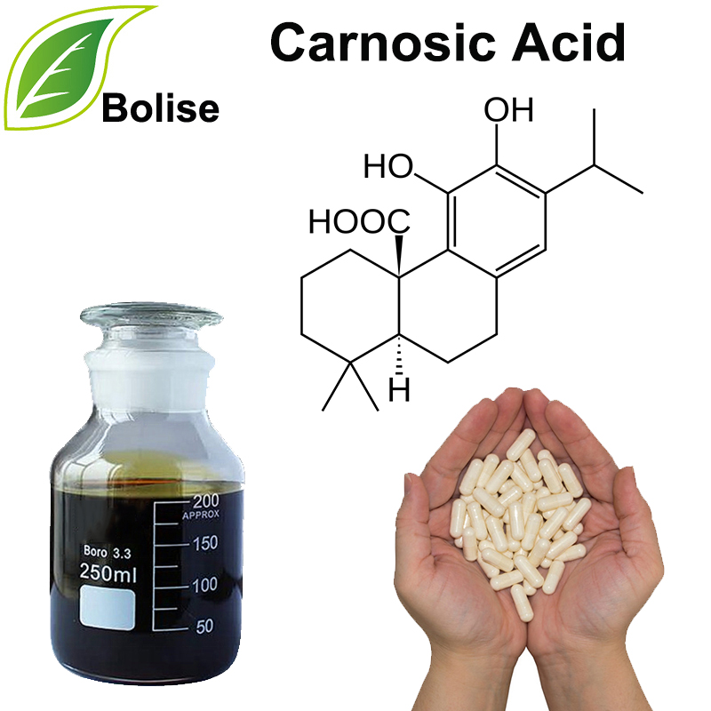 Carnosic Acid