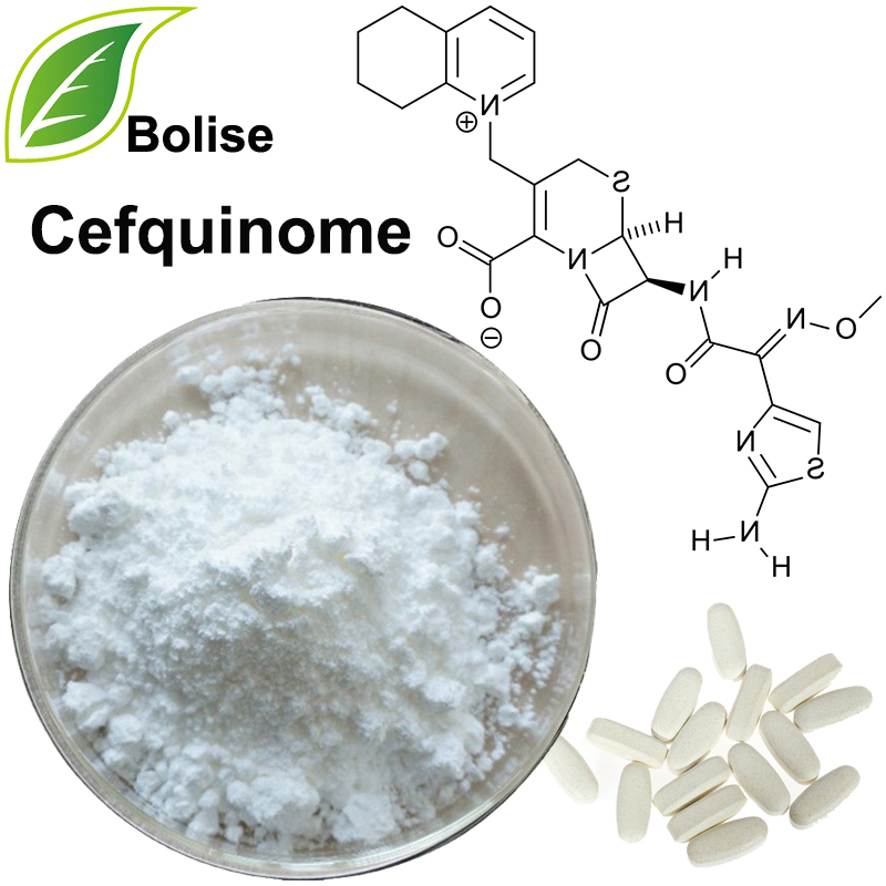 Cefkinome