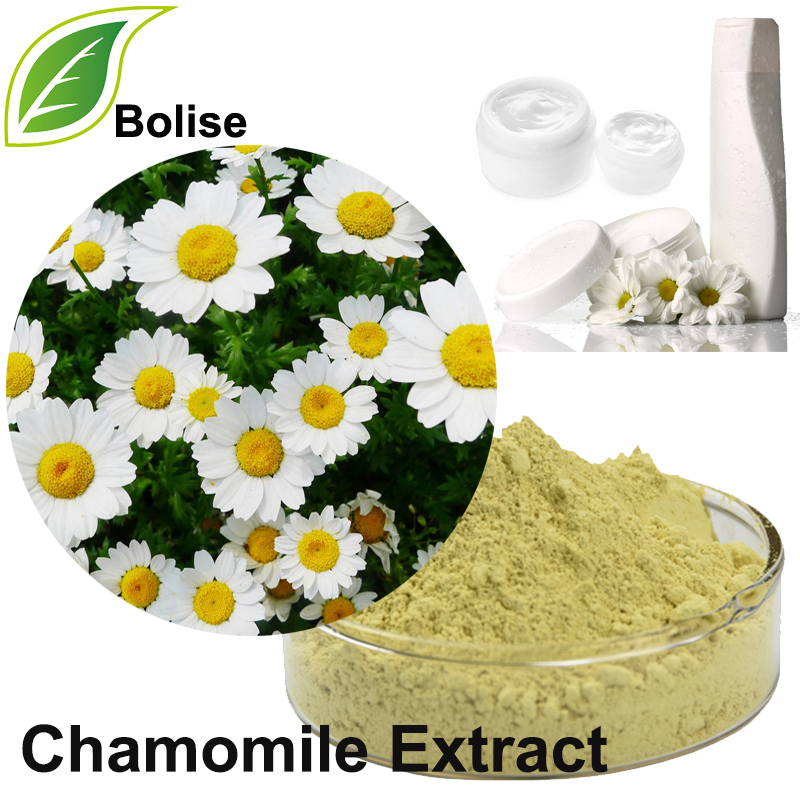 Chamomile Extract(Matricaria Extract)