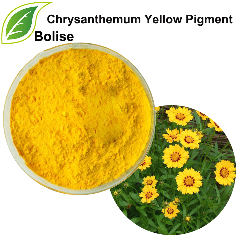 Chrysanthemengelbpigment