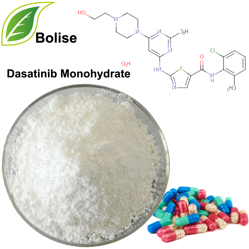 Dasatinib monoidrat