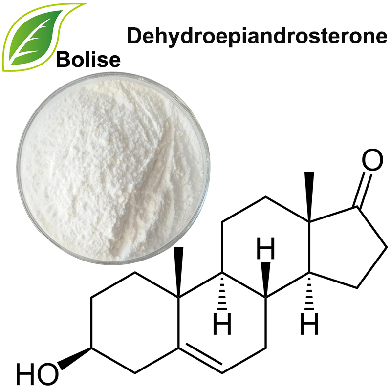 dehidroepiandrosterona