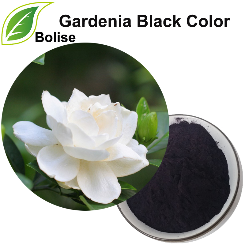 Gardenia swart kleur