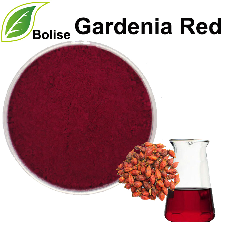 Gardenia punane