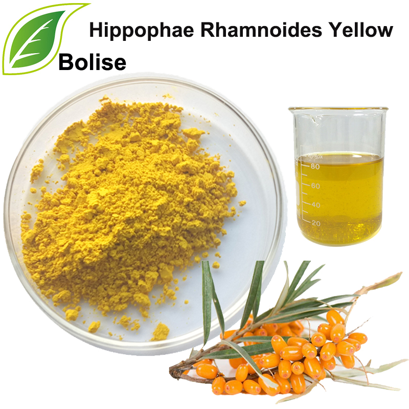 Hippophae Rhamnoides Kuning