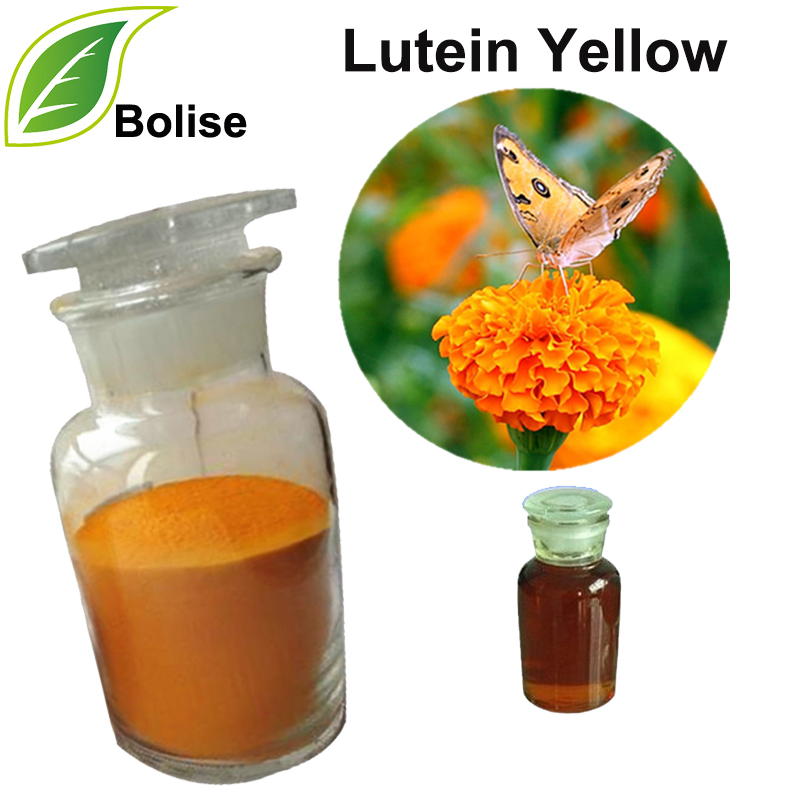 Lutein Yellow