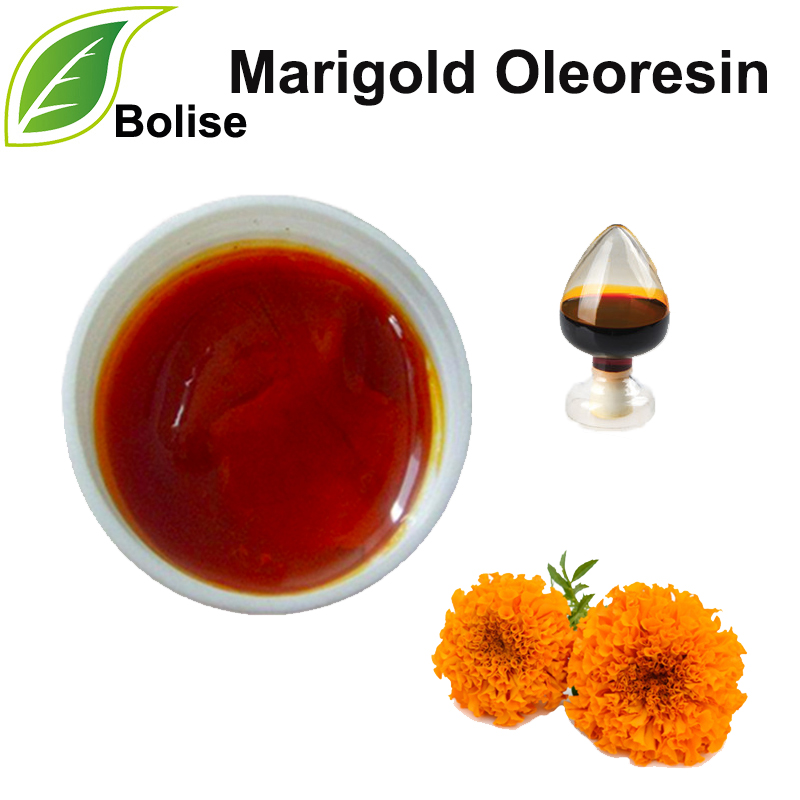 Goudsbloem Oleoresin