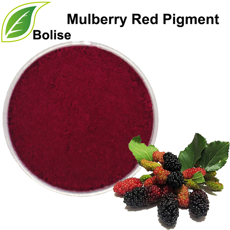 Mulberry rood pigment