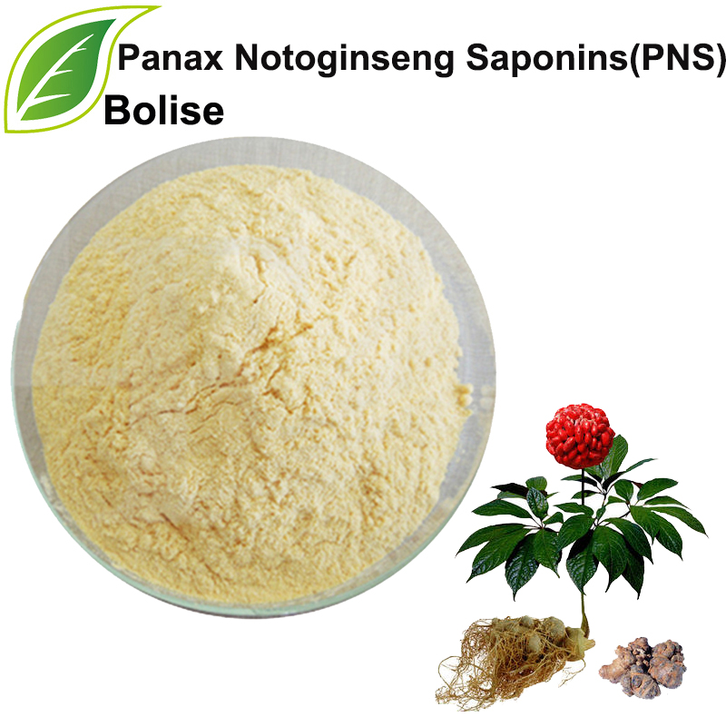 Panax Notoginseng Saponinleri (PNS)