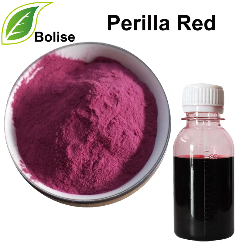 Perilla Merah