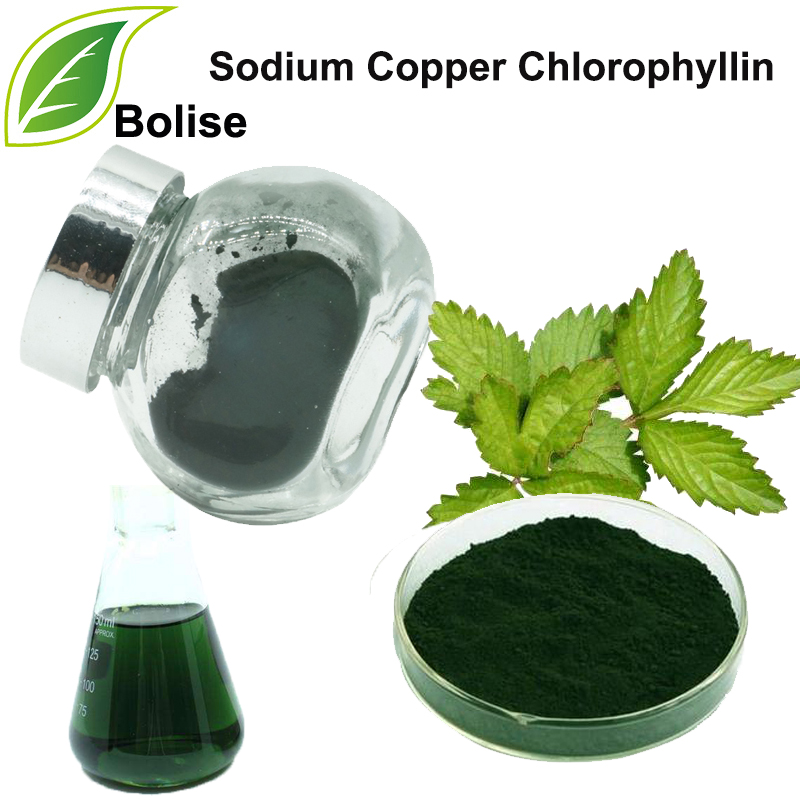 Sodium Copper Chlorophyllin