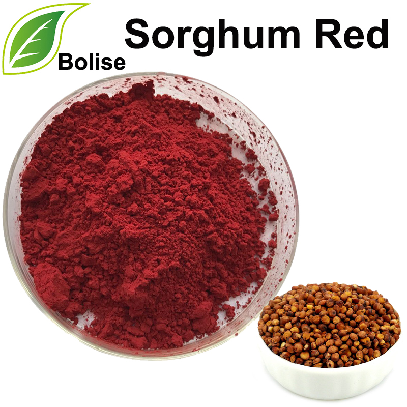 Sorghum Qırmızı