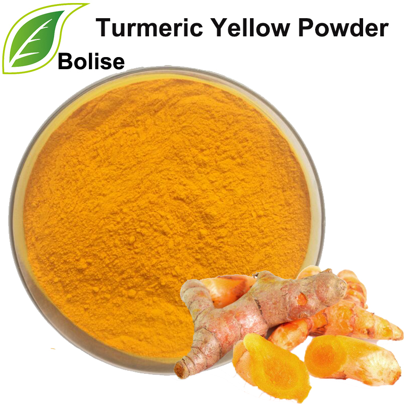 Turmeric Yellow Powder